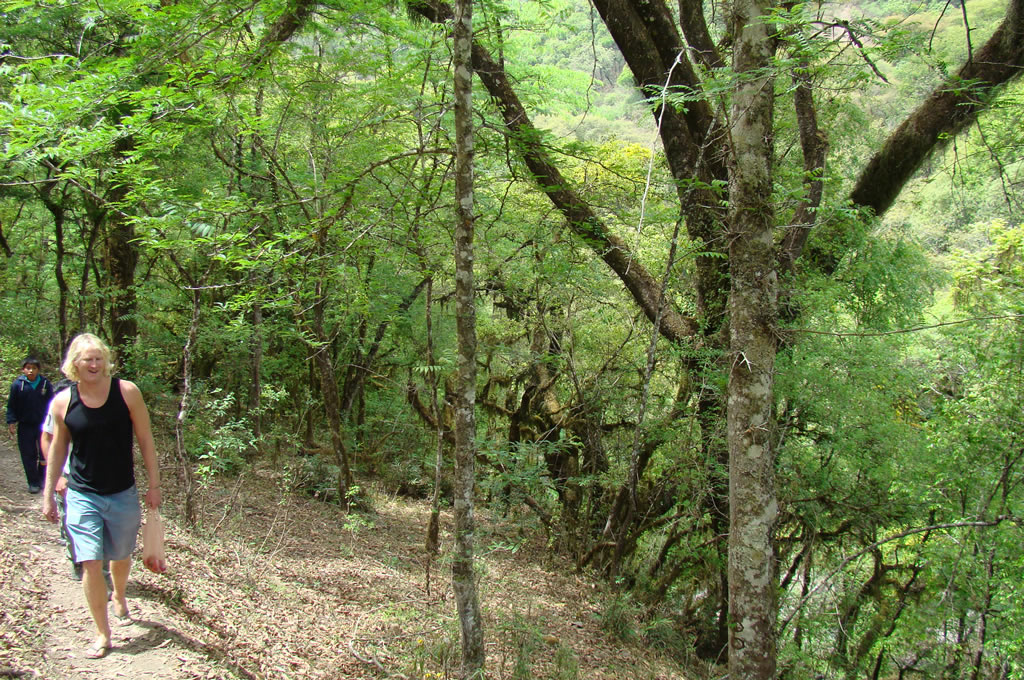 Trekking en Salta